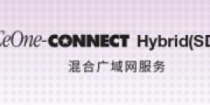 MPLS+SD-WAN+安全，三重驱动赋能贾米尔汽车中国本土化深耕