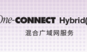 MPLS+SD-WAN+安全，三重驱动赋能贾米尔汽车中国本土化深耕