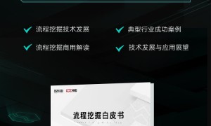 《流程挖掘白皮书》：你的企业数字化转型必备指南？